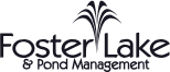 Foster Lake & Pond Management